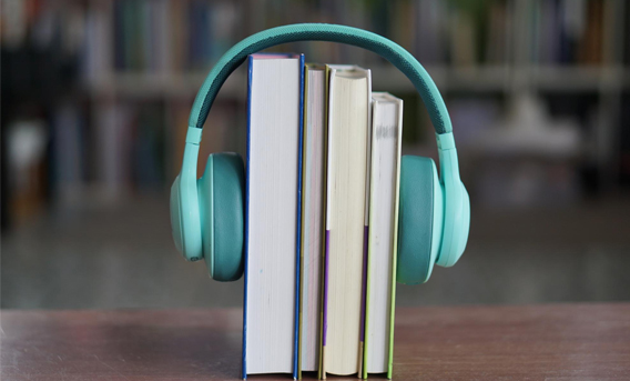The Book Publishing Consultant